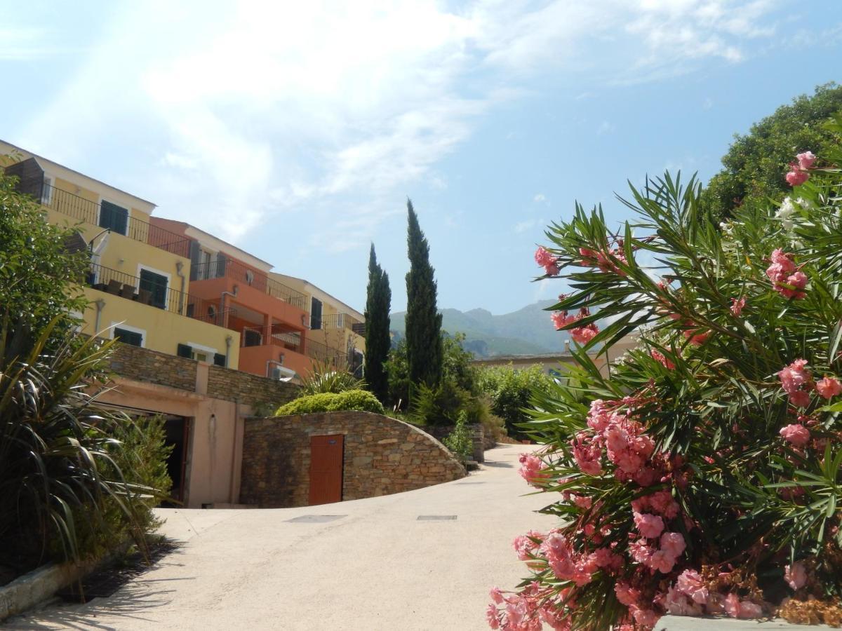 Erbalunga - Residence Les Bosquets - Cap Corse Location Brando Buitenkant foto